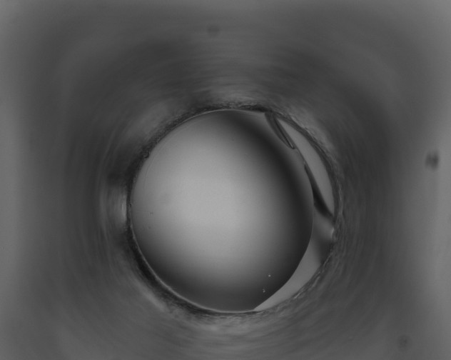 X0000093470021200710191155