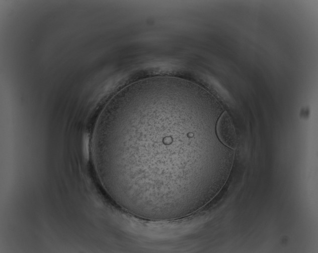 X0000093470022200710191155