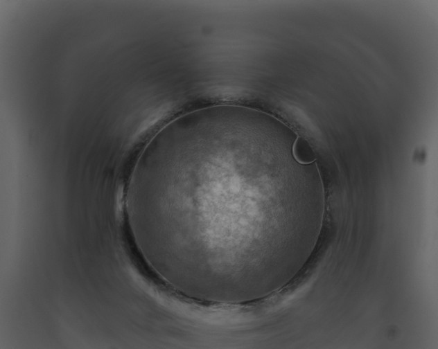 X0000093470024200710191155