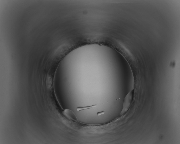 X0000093470025200710191155