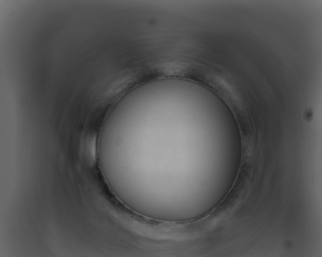 X0000093470028200710191155