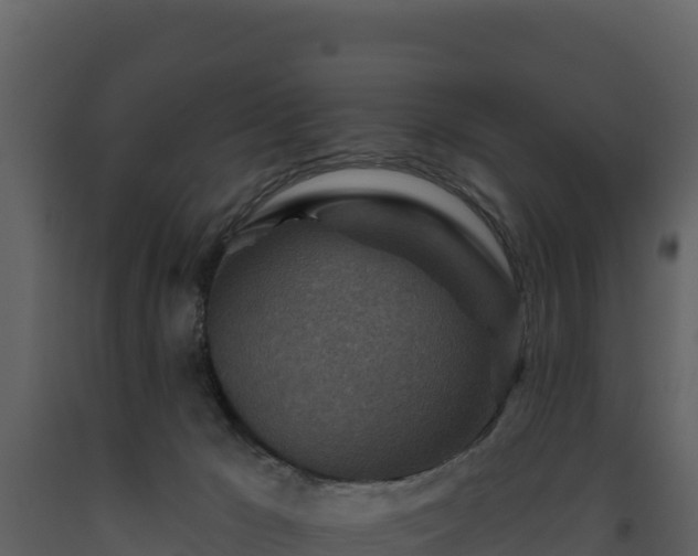 X0000093470029200710191155