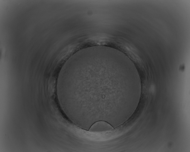 X0000093470030200710191155