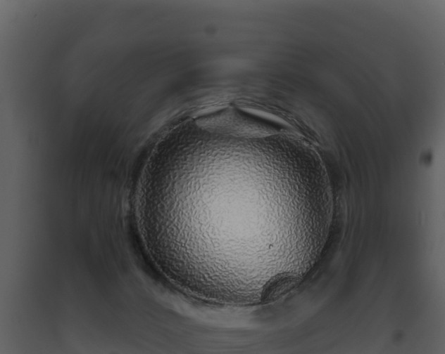 X0000093470032200710191155