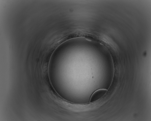 X0000093470034200710191155