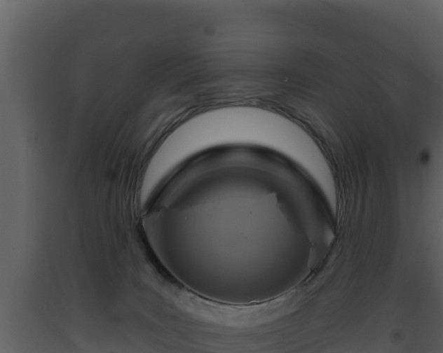 X0000093470035200710191155