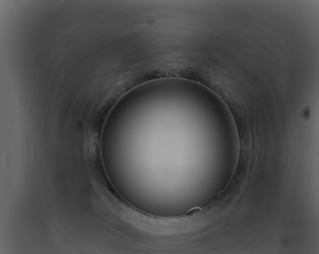 X0000093470038200710191154