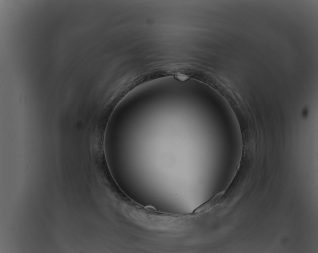 X0000093470044200710191154