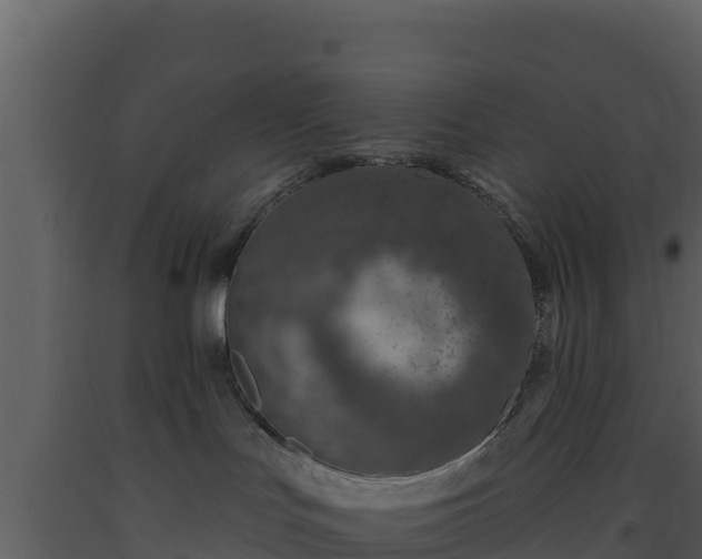 X0000093470047200710191154