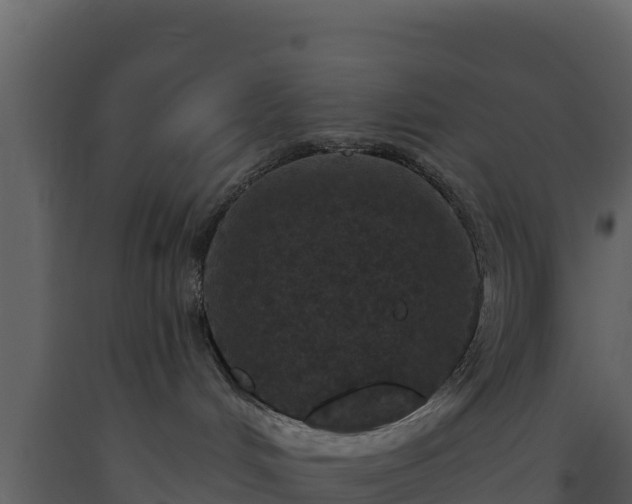 X0000093470048200710191154