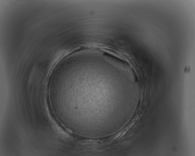 X0000093470049200710191153