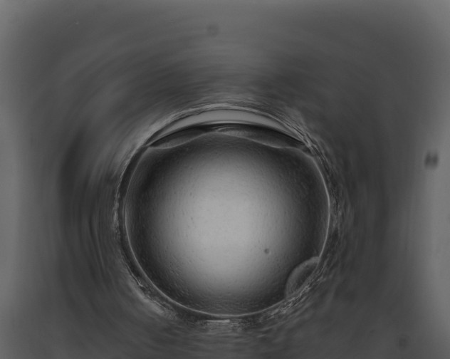 X0000093470050200710191153