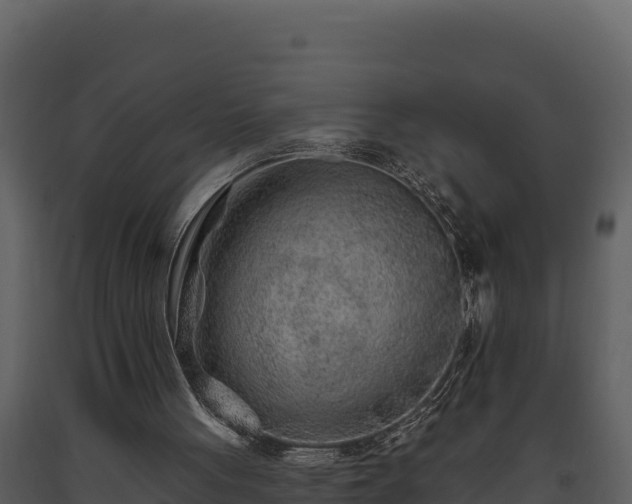 X0000093470051200710191153