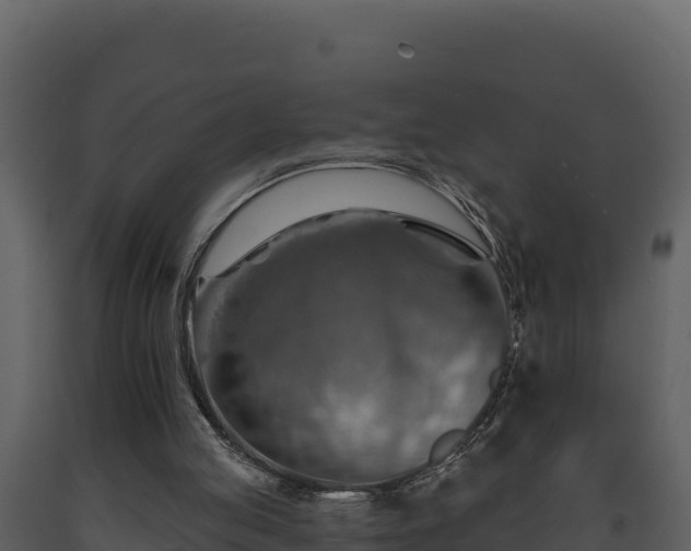 X0000093470053200710191154