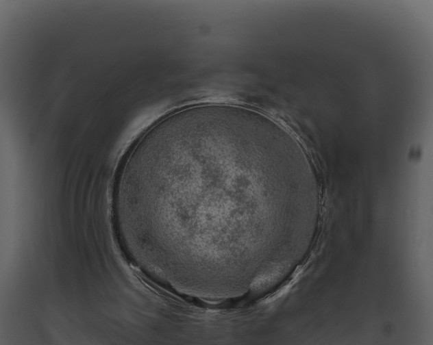 X0000093470055200710191154