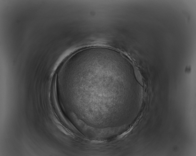 X0000093470056200710191154