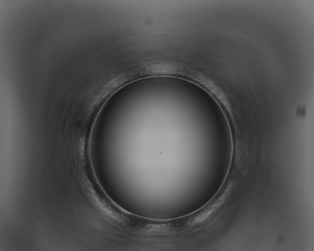 X0000093470057200710191154