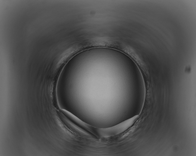 X0000093470058200710191154