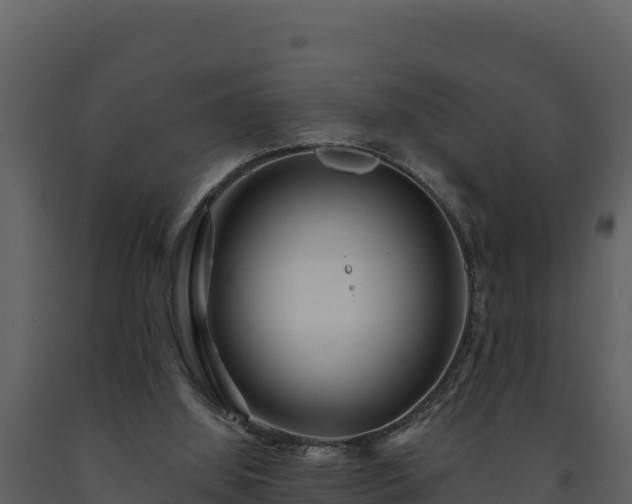 X0000093470060200710191154