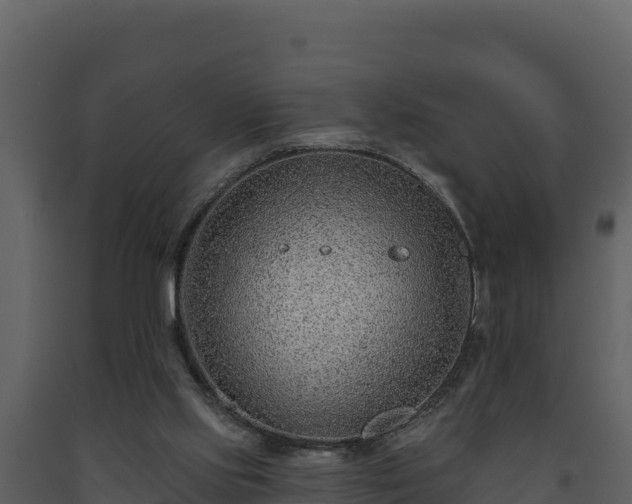 X0000093470061200710191154