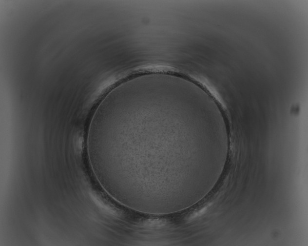 X0000093470063200710191154