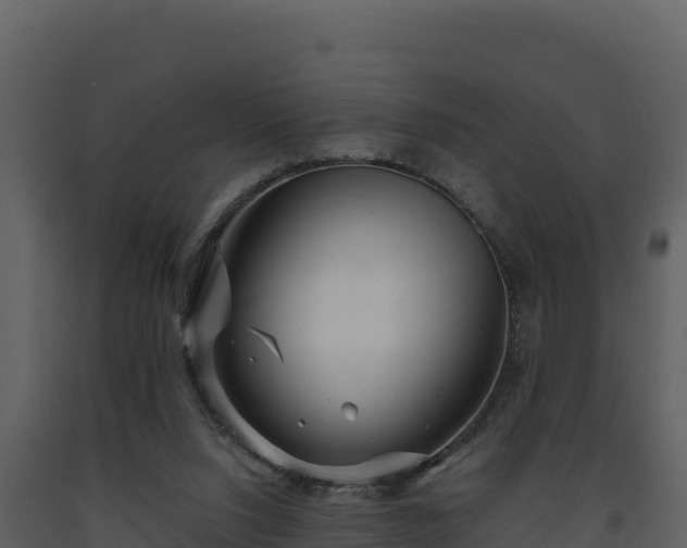 X0000093470064200710191154