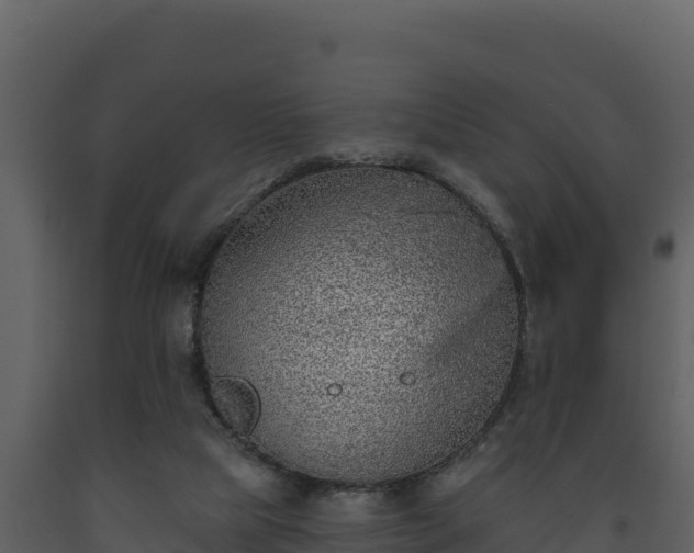 X0000093470065200710191154