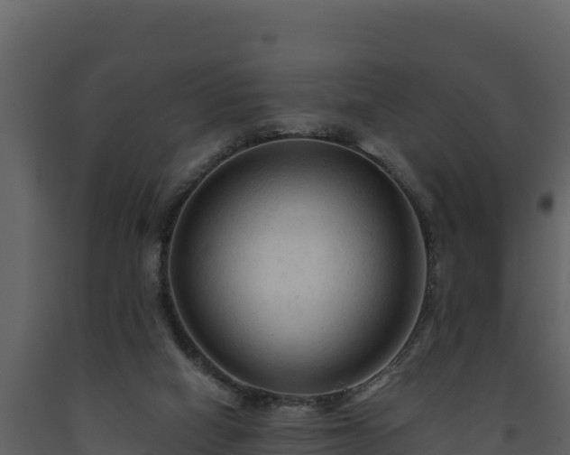 X0000093470066200710191154