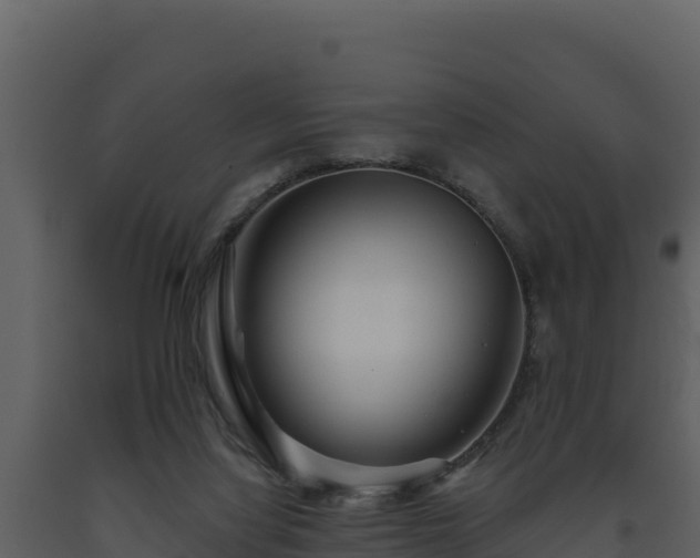 X0000093470068200710191154