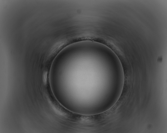 X0000093470070200710191154