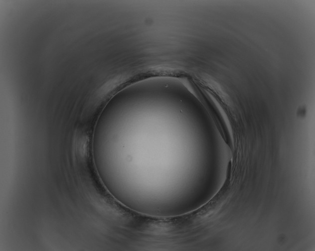 X0000093470071200710191154