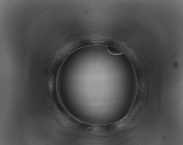 X0000093470074200710191154