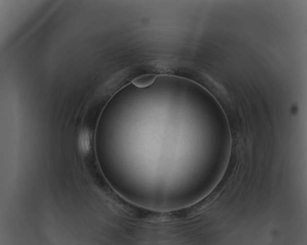 X0000093470075200710191154