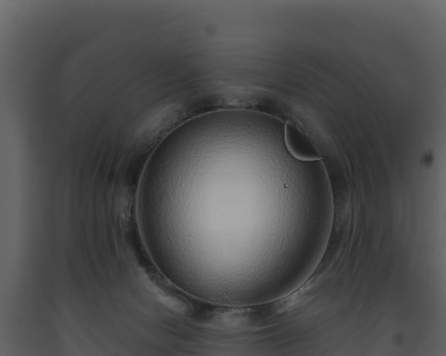 X0000093470078200710191154