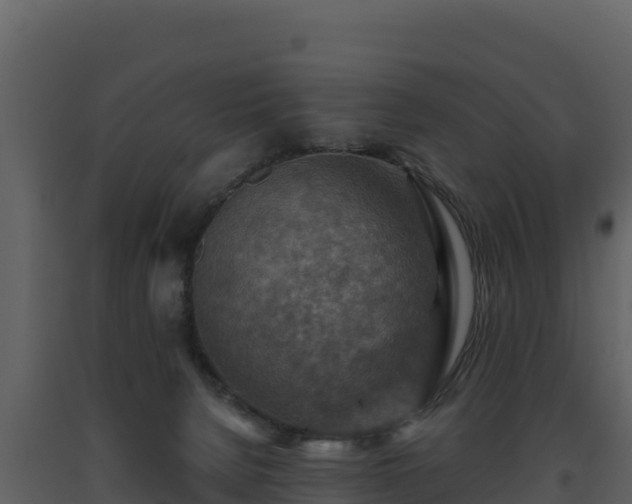 X0000093470080200710191154