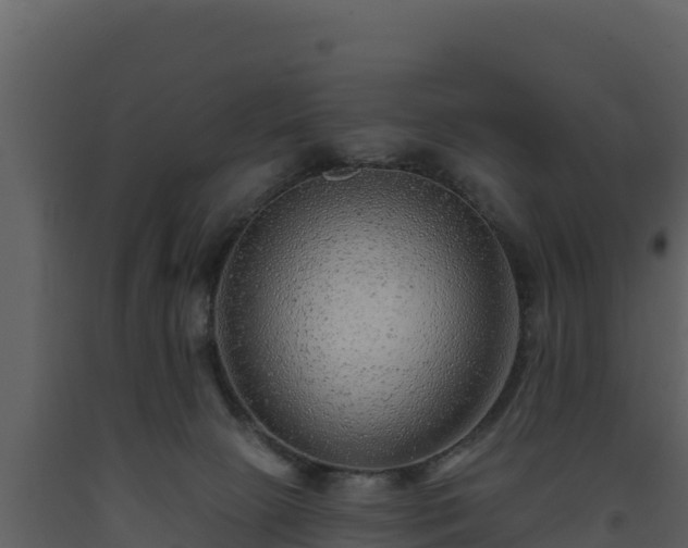 X0000093470081200710191154