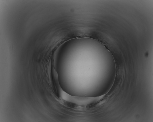 X0000093470084200710191154