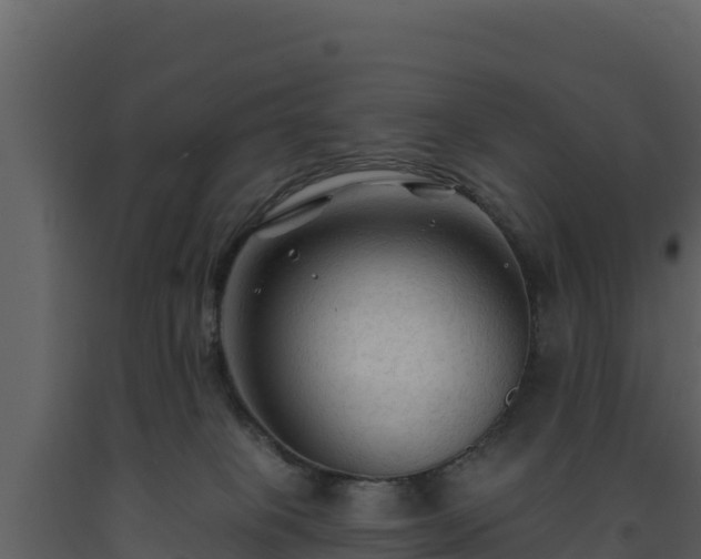 X0000093470085200710191154