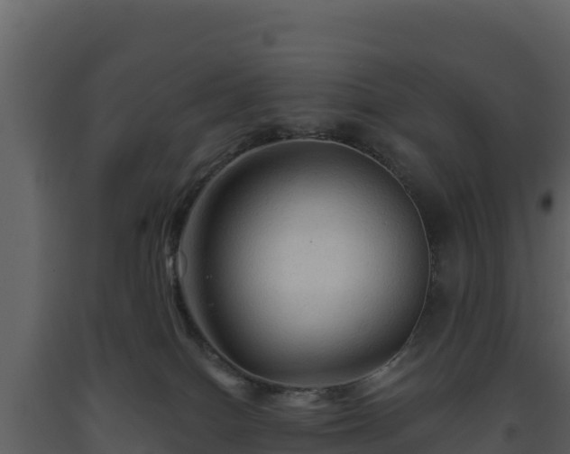 X0000093470086200710191154