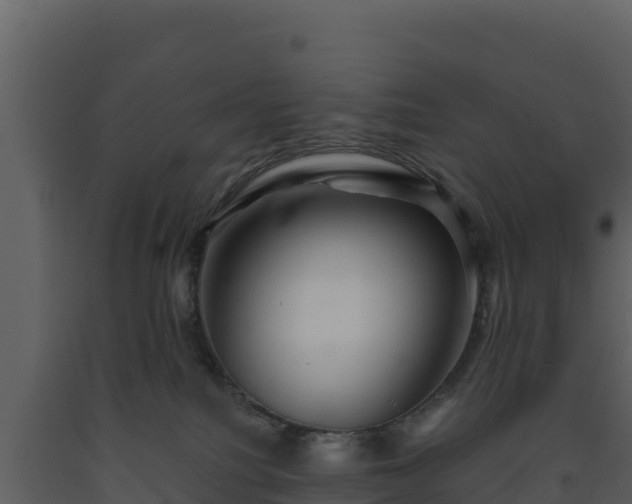 X0000093470088200710191154