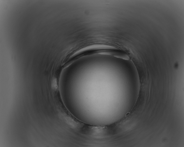 X0000093470089200710191154