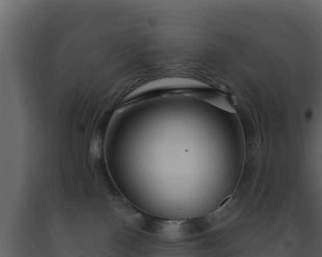 X0000093470090200710191154