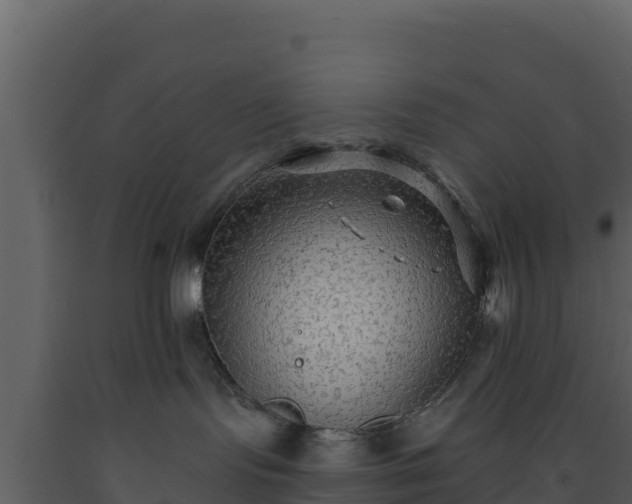 X0000093470095200710191154