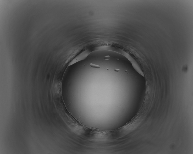 X0000093470096200710191154