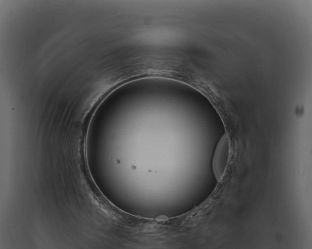 X0000093470098200710191153