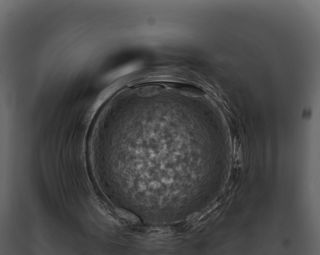 X0000093470099200710191153