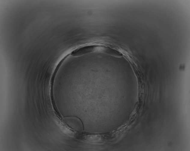 X0000093470100200710191153