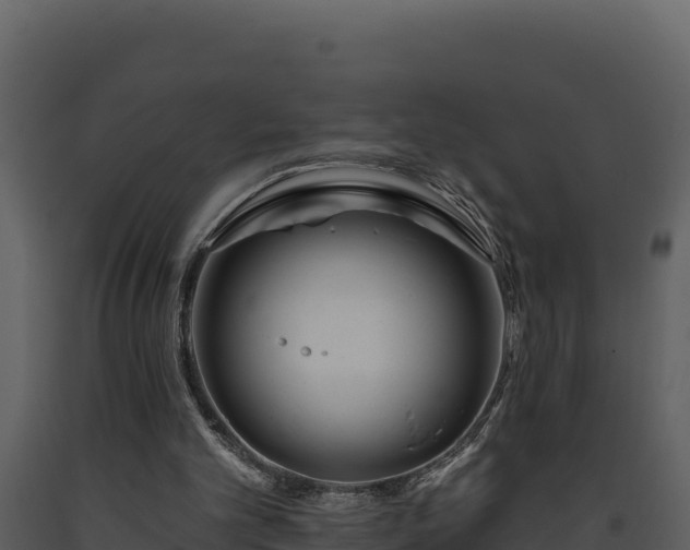 X0000093470101200710191153