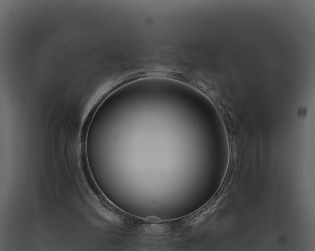 X0000093470102200710191153