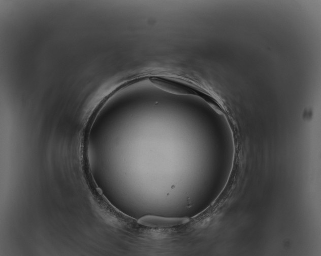 X0000093470103200710191153